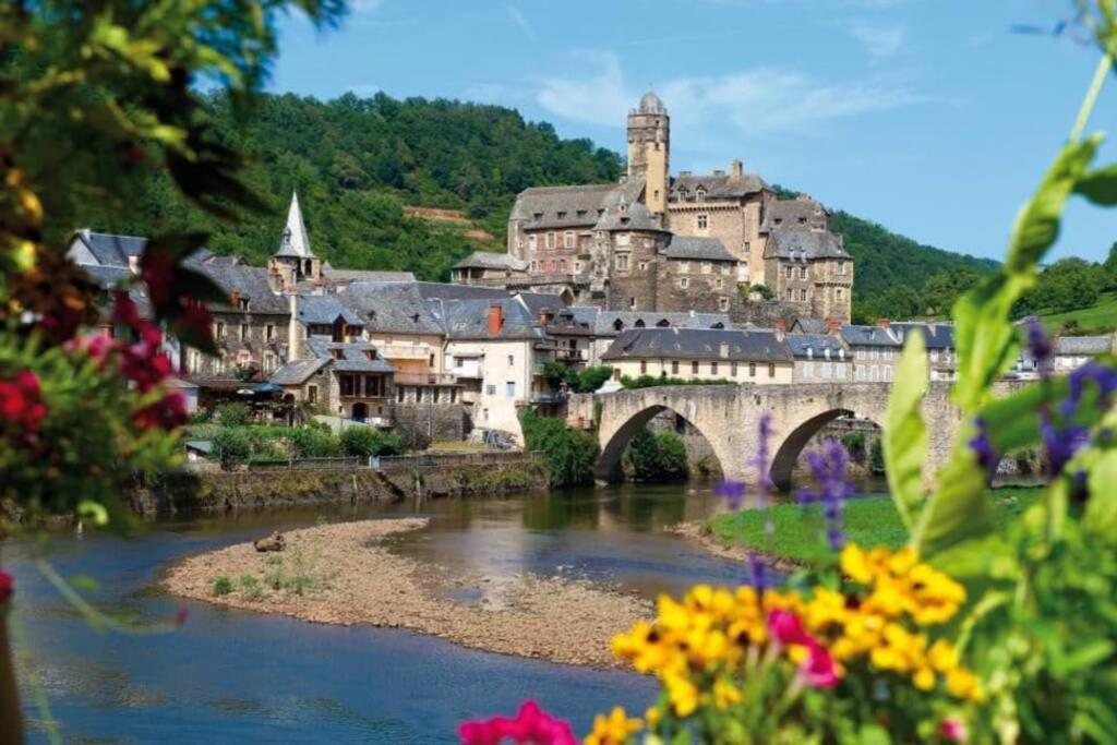 T 2 Dans Village Vacances 3 *** A Saint Geniez 2 Piscines Chauffee Pierrefiche  Экстерьер фото